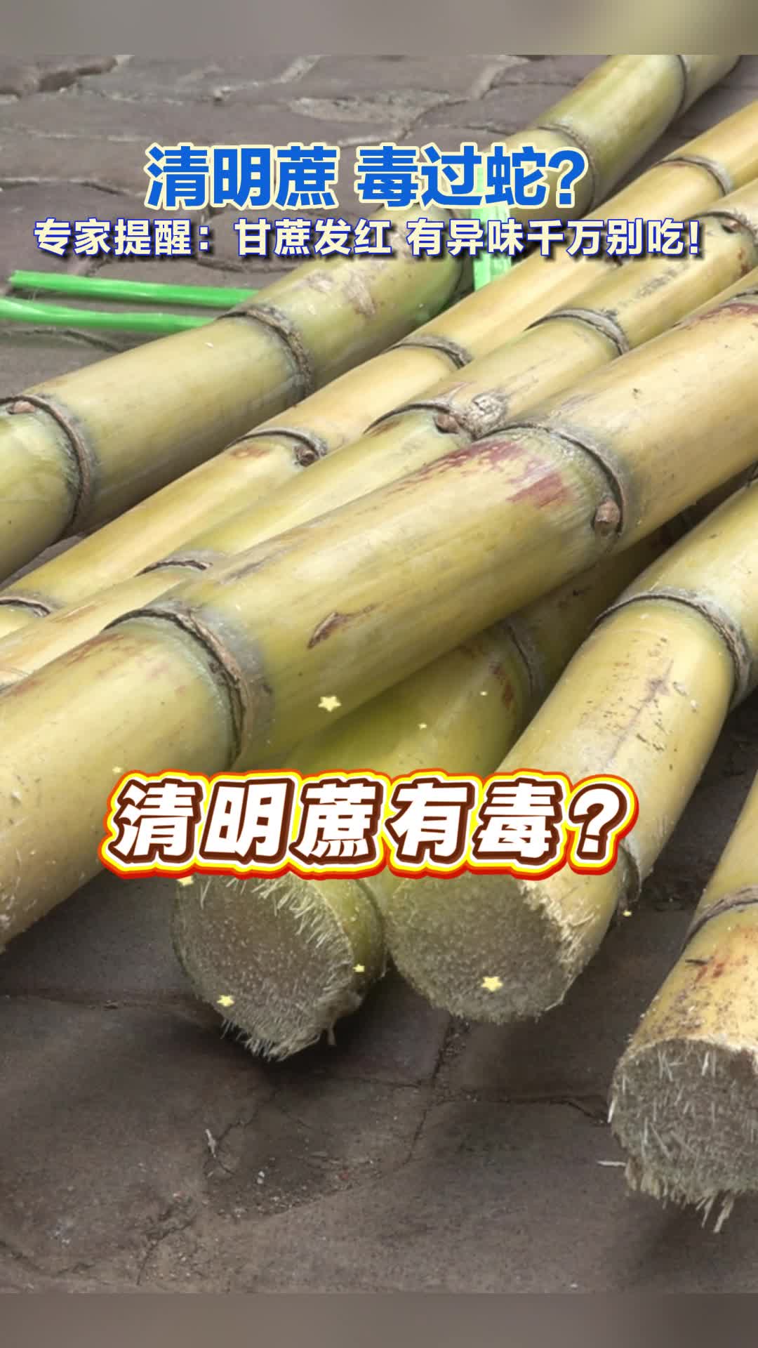清明蔗，毒过蛇！这种甘蔗千万别吃#清明蔗毒过蛇 #甘蔗