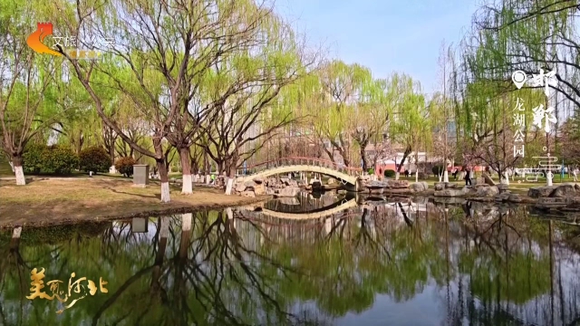 美丽河北见证官秦红英作品欣赏丨春风拂绿龙湖水，嫩柳含烟入画来