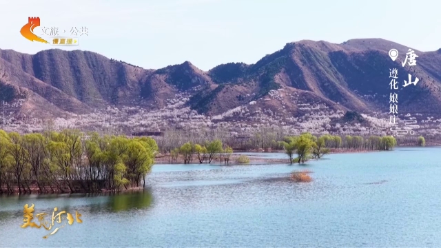 美丽河北见证官赵鑫磊作品欣赏丨花随春意满山坡，快到娘娘庄邂逅浪漫春天