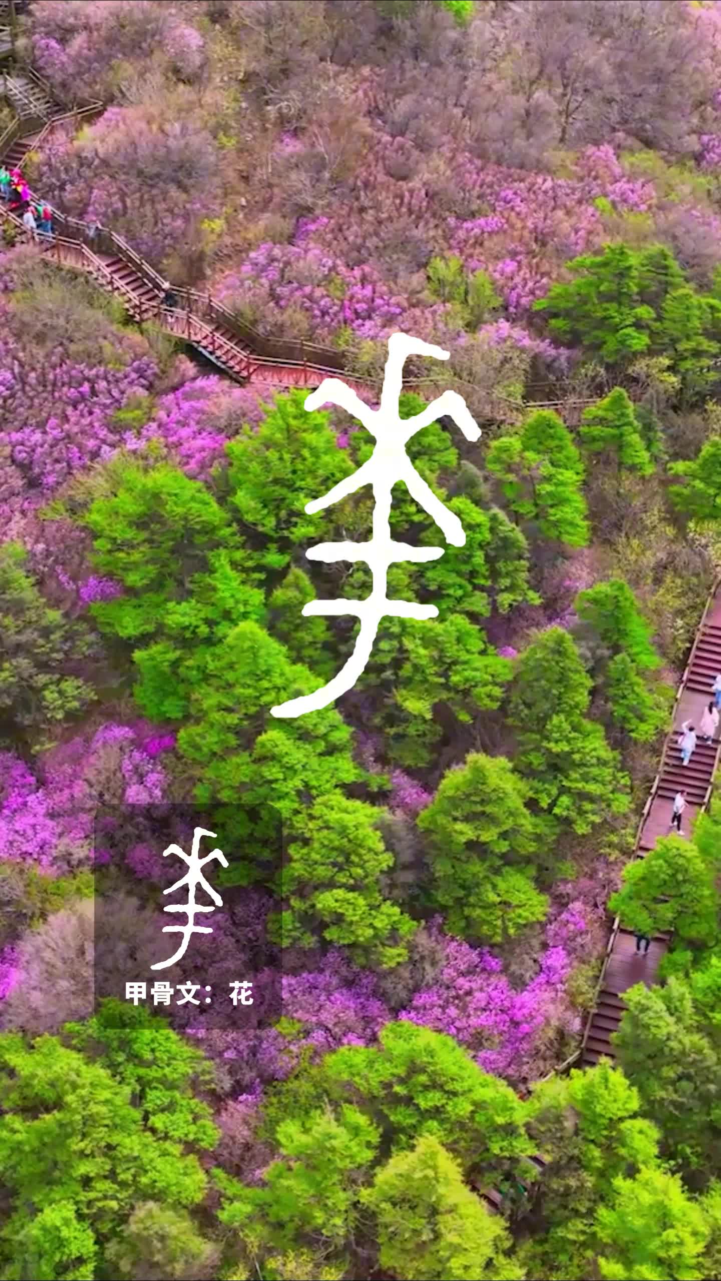 用甲骨文的方式 打开秦皇岛的魅力