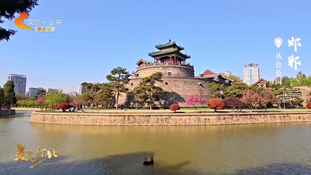 美丽河北慢直播丨丛台公园繁花绕古台，花下忆流年~清晨 2026/04/10 #这么近，那么美，周末到河北