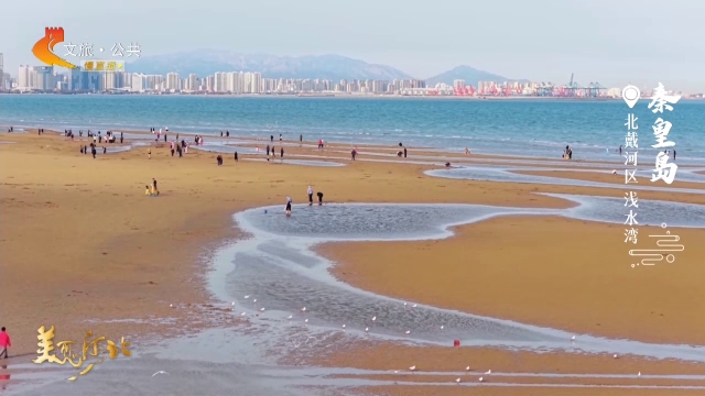 美丽河北慢直播丨春拂浅水湾，碧海潮生万象新 秦皇岛 清晨 2026/04/12#这么近，那么美，周末到河北