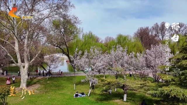 美丽河北慢直播丨漫游达活泉公园，一桨划开春水，满目皆是花红柳绿 正午 2026/04/13#这么近，那么美，周末到河北