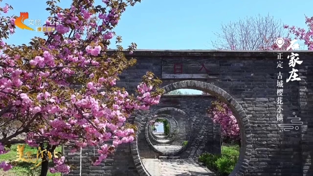 美丽河北见证官吴长新作品欣赏丨打卡正定樱花小镇，体验春天限定浪漫~