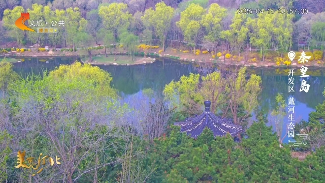 美丽河北慢直播丨戴河生态园，藏一园春水绿意，揽十里清波风光 秦皇岛 清晨 2026/04/15#这么近，那么美，周末到河北