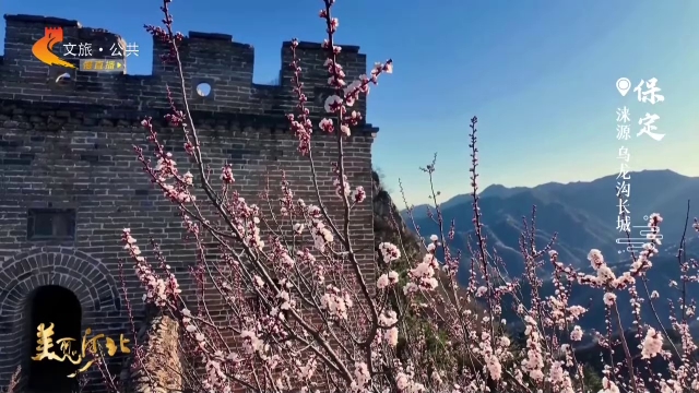 美丽河北慢直播丨花缀雄关，乌龙沟长城登高正当时 正午 2026/04/16#这么近，那么美，周末到河北