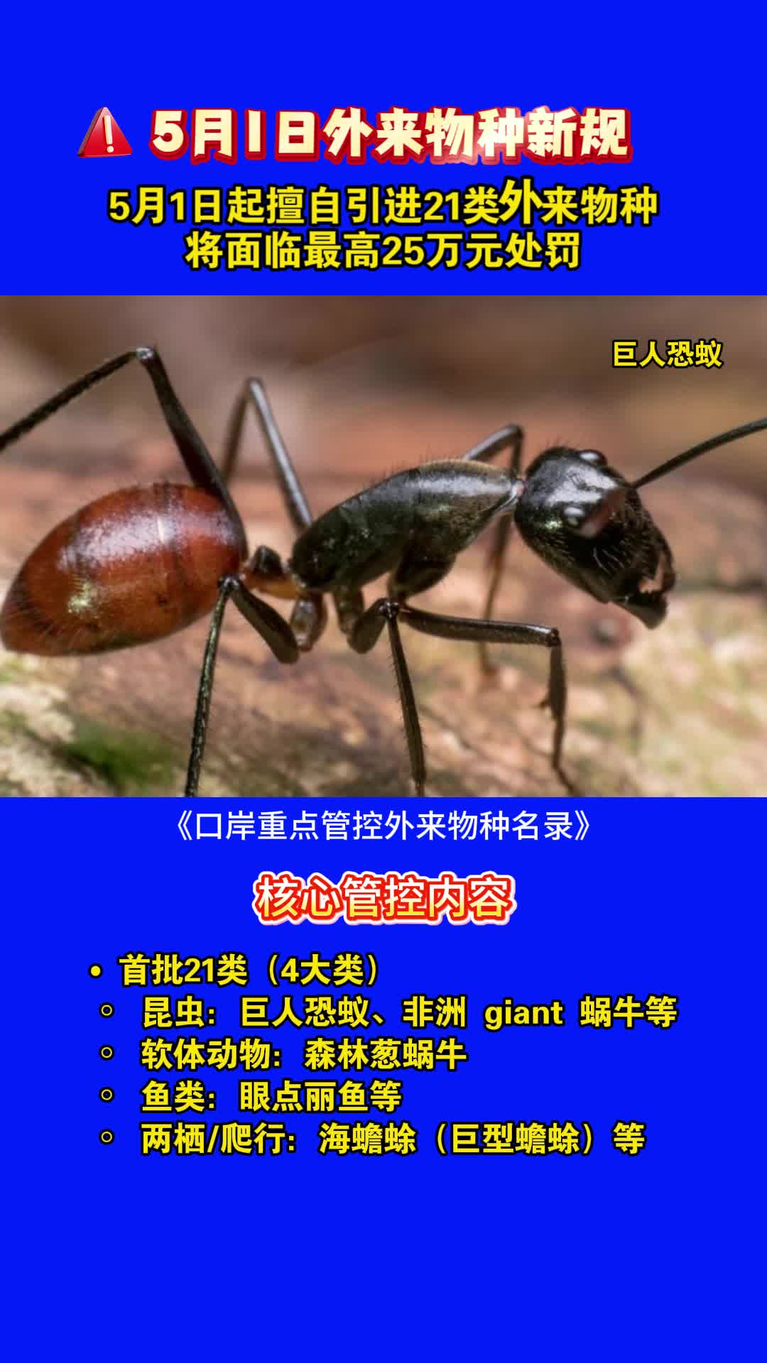 5月1日外来物种新规 5月1日起擅自引进21类外来物种将面临最高25万元处罚