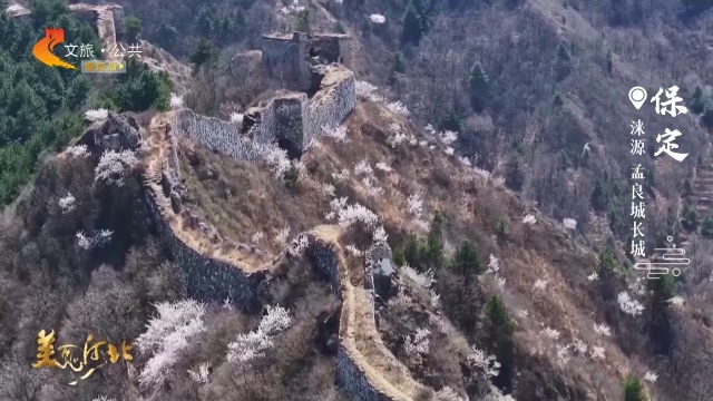 美丽河北见证官张勇作品欣赏丨孟良城长城披锦绣，花开满目春