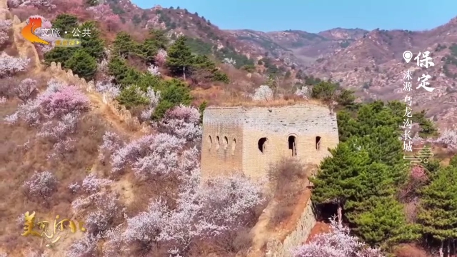 美丽河北见证官段荣欣作品欣赏丨乌龙沟长城春风一度春花好