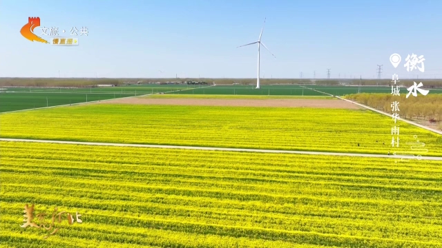 美丽河北慢直播丨春暖花开季，阜城邀你共赏田园风光 清晨 2026/04/17#这么近，那么美，周末到河北