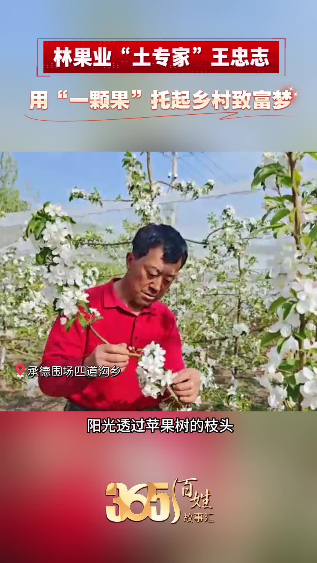 365百姓故事汇 林果业“土专家”王忠志 用“一颗果”托起乡村致富梦