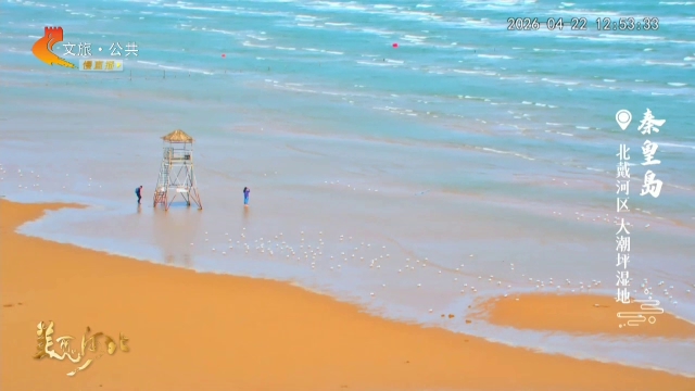 美丽河北慢直播丨赴秦皇岛之约，听海浪声声，看海鸥群飞 正午 2026/04/22#这么近，那么美，周末到河北