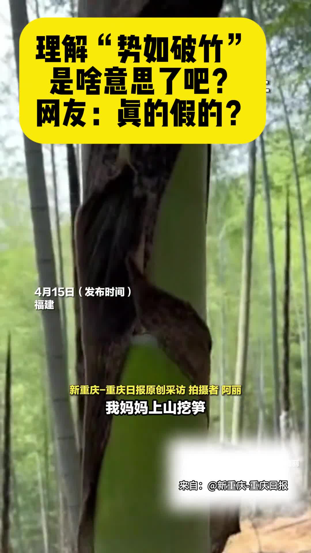 理解“势如破竹”是啥意思了吧？网友：真的假的？