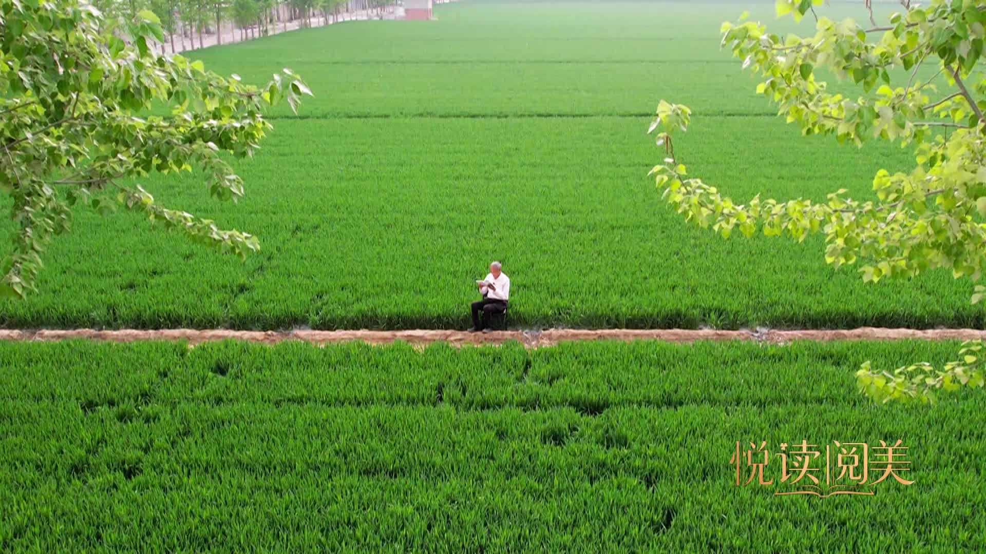 书香遇麦香!小麦专家郭进考为您带来田野上的诵读