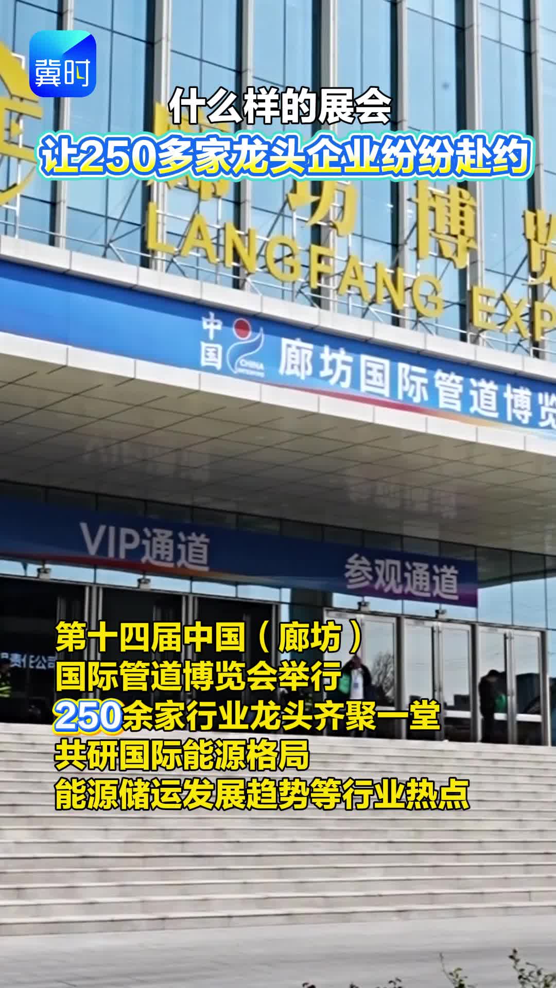 什么样的展会 让250多家龙头企业纷纷赴约