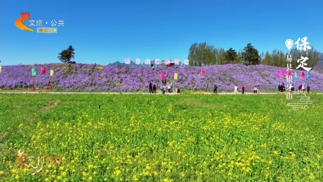美丽河北慢直播丨狼牙山不止有英雄故事，还有满坡花海等你来赏 保定 正午 2026/04/25#这么近，那么美，周末到河北