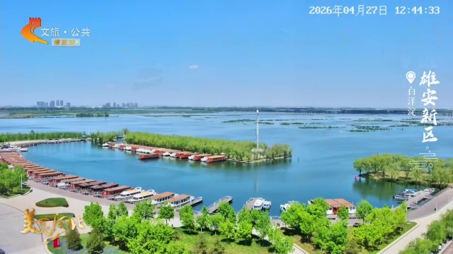 美丽河北慢直播丨白洋淀万顷碧波映晴空！正午 2026/04/27 #这么近，那么美，周末到河北