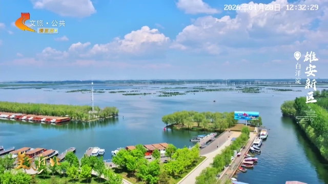美丽河北慢直播丨五一去哪儿？首推白洋淀！乘船体验水乡风情 雄安新区 正午 2026/04/28#这么近，那么美，周末到河北