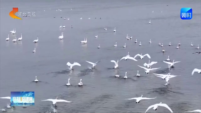 你好京津冀丨京津冀18处国家级自然保护区：10处评估为优 8处为良