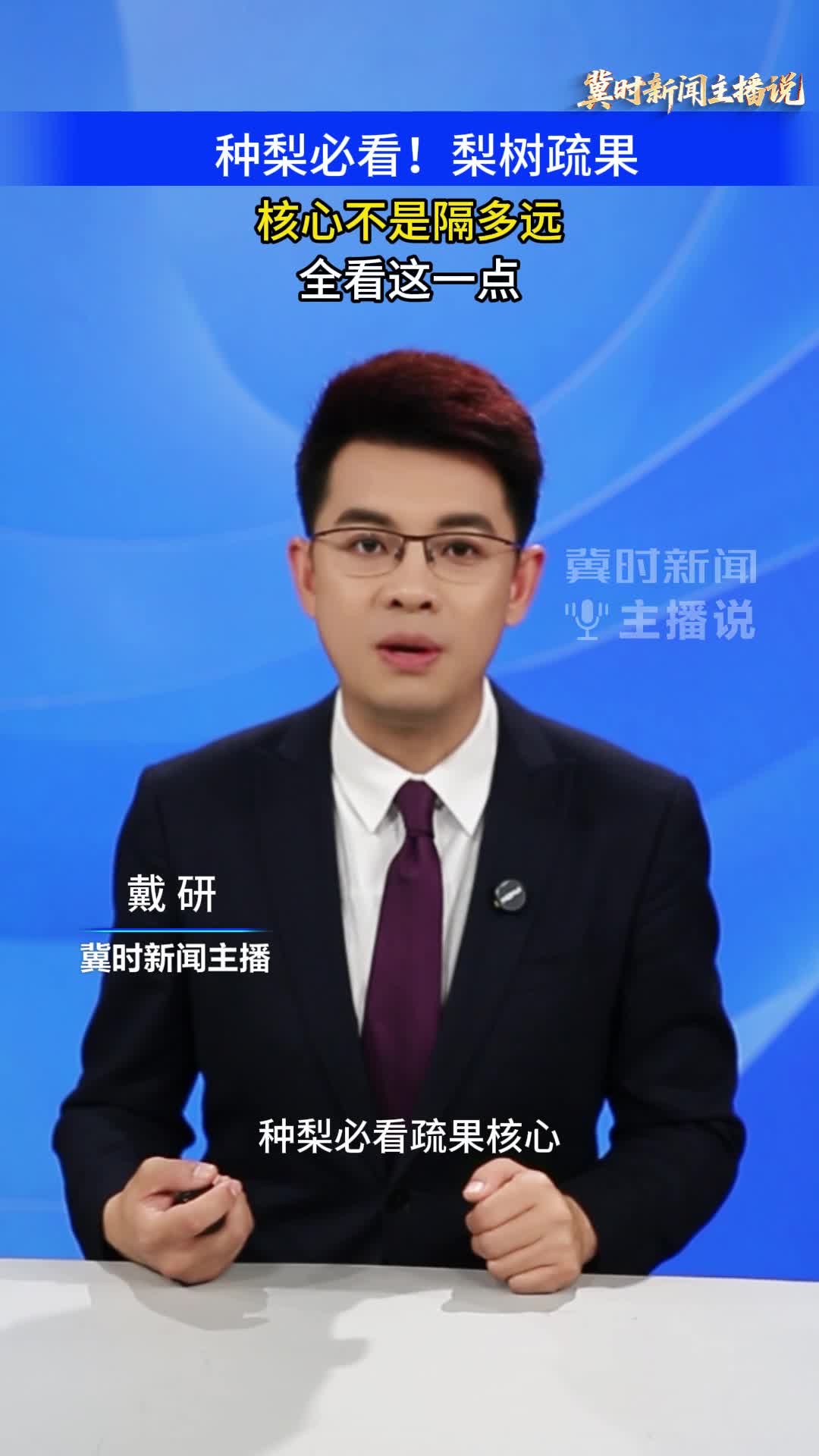 【冀时新闻主播说】种梨必看！疏果核心不是隔多远，全看这一点