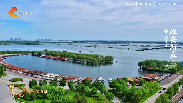 美丽河北慢直播丨白洋淀苇色青青，一淀风光！雄安新区 清晨 2026/05/18 #这么近，那么美，周末到河北