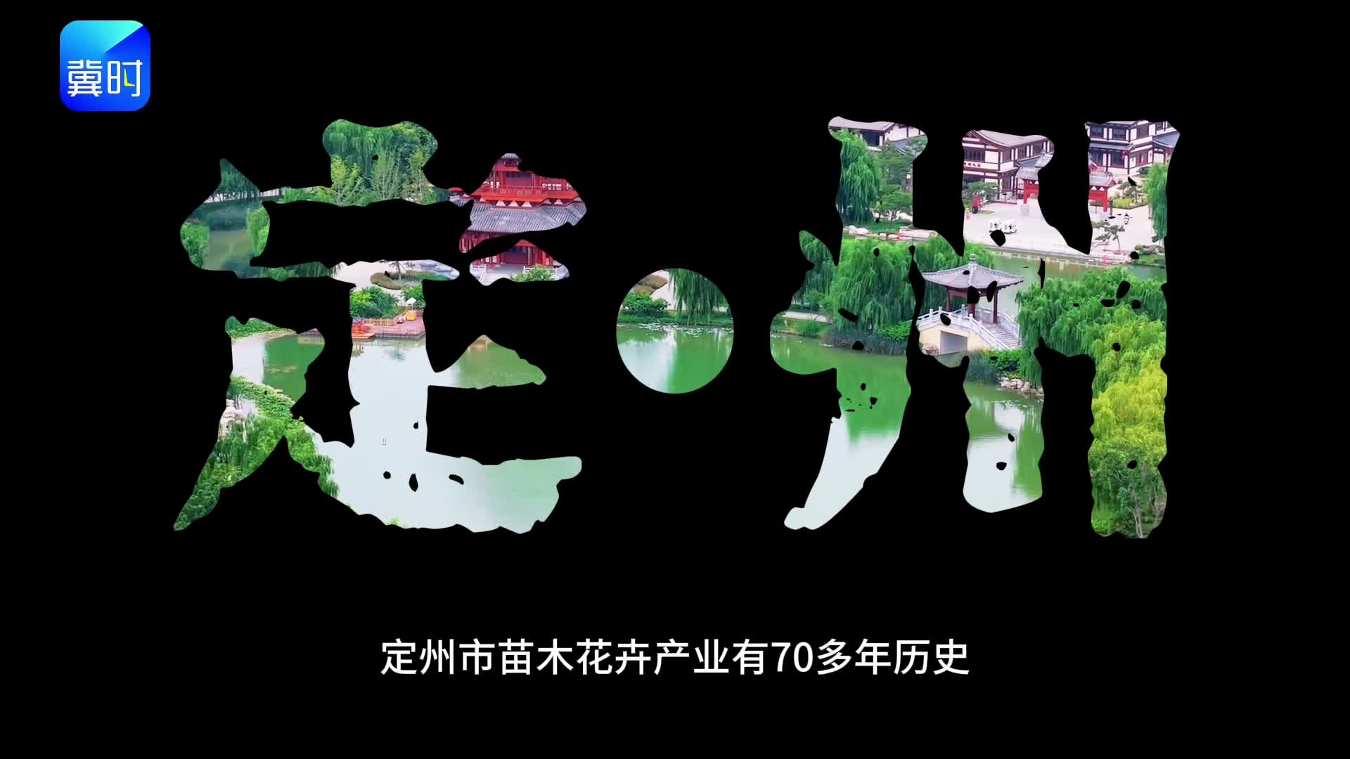 定州好苗，绿润三北