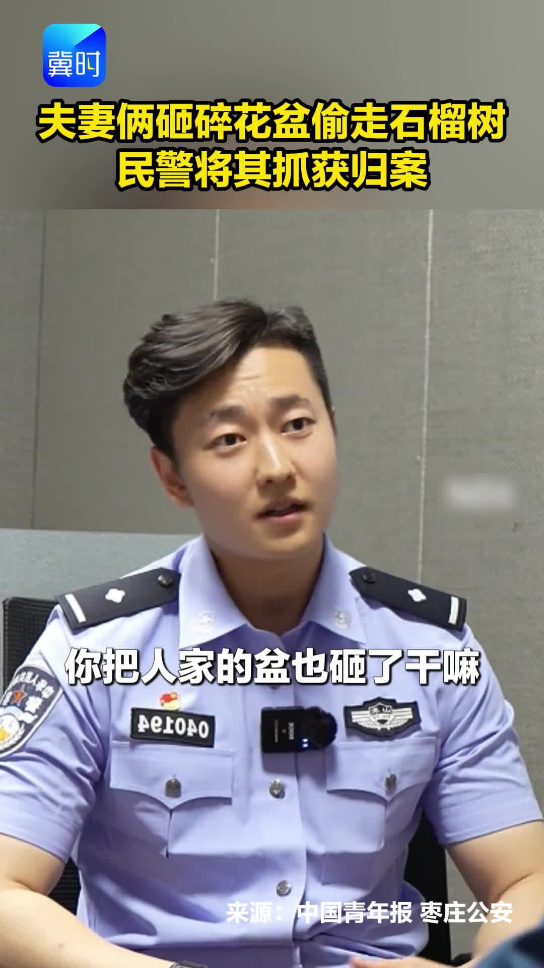 夫妻俩砸碎花盆偷走石榴树 民警将其抓获归案