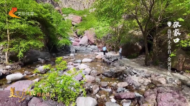 美丽河北慢直播丨峰峦叠翠，溪水潺潺~到小五台·金河景区，赴山野之约 张家口 正午 2026/05/25#这么近，那么美，周末到河北