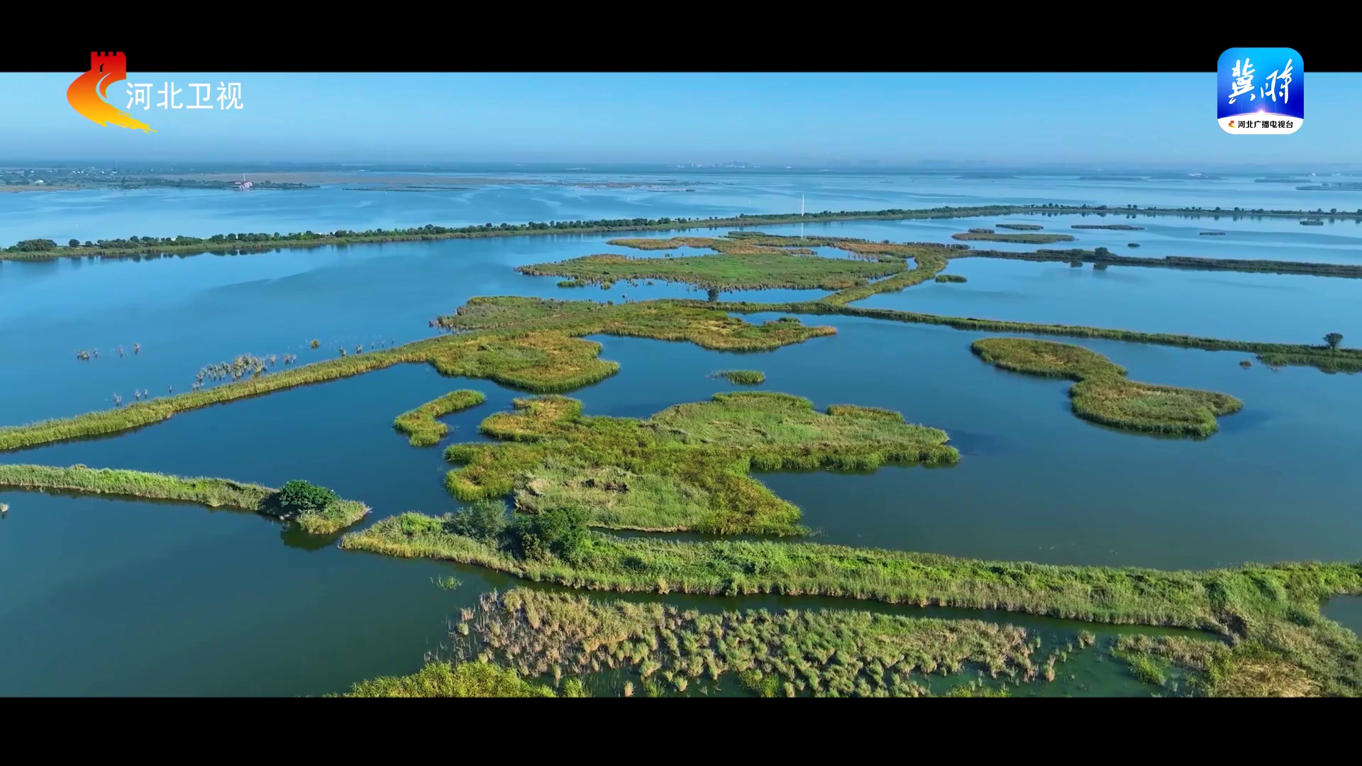 美丽河湖丨碧波为纸，飞鸟为笔，一起领略衡水湖的生态之美