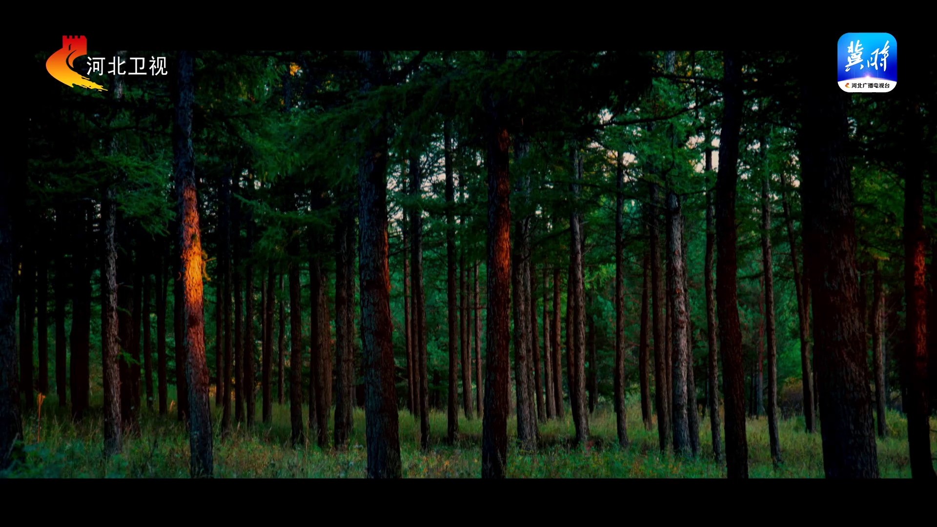 人与自然 和谐共生丨河北亮出“十四五”生态环境保护成绩单